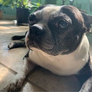 Meet your Posher, Katie